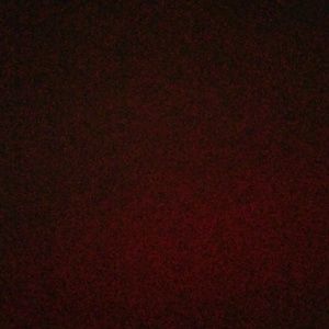 Meet your Posher, Tenisha